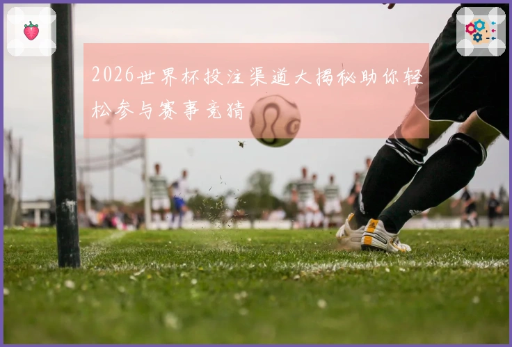 2026世界杯投注渠道大揭秘助你轻松参与赛事竞猜