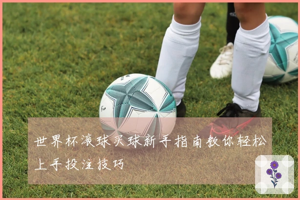 世界杯滚球买球新手指南教你轻松上手投注技巧