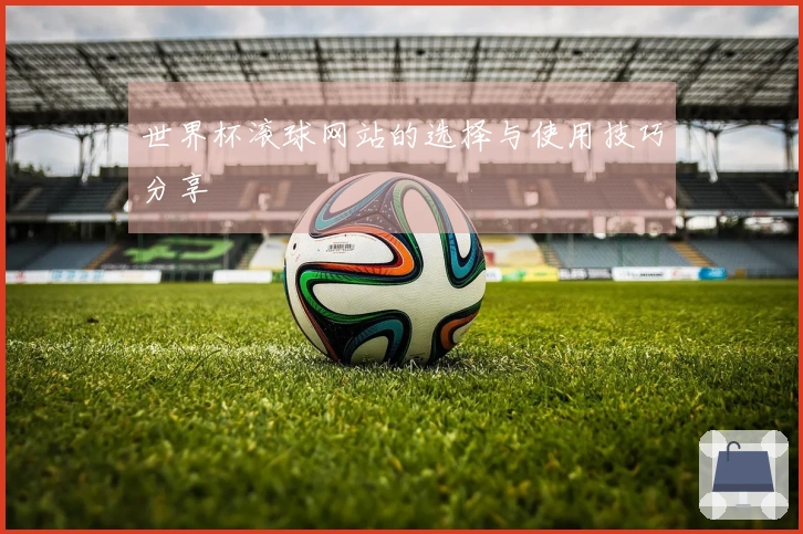 世界杯滚球网站的选择与使用技巧分享