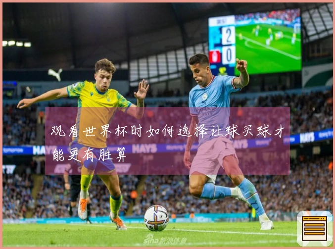 观看世界杯时如何选择让球买球才能更有胜算