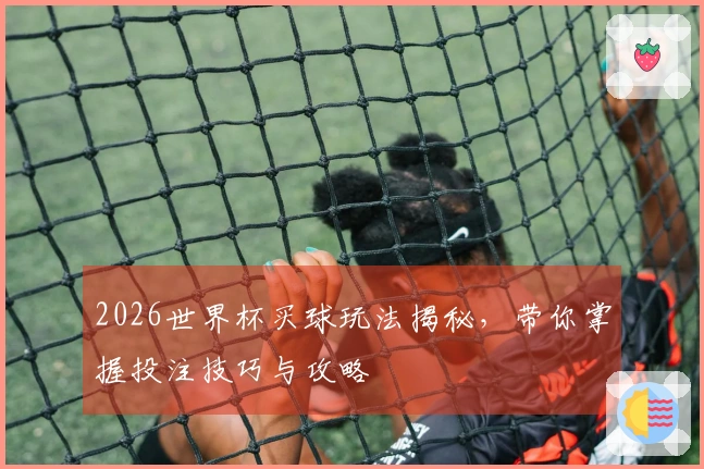 2026世界杯买球玩法揭秘，带你掌握投注技巧与攻略