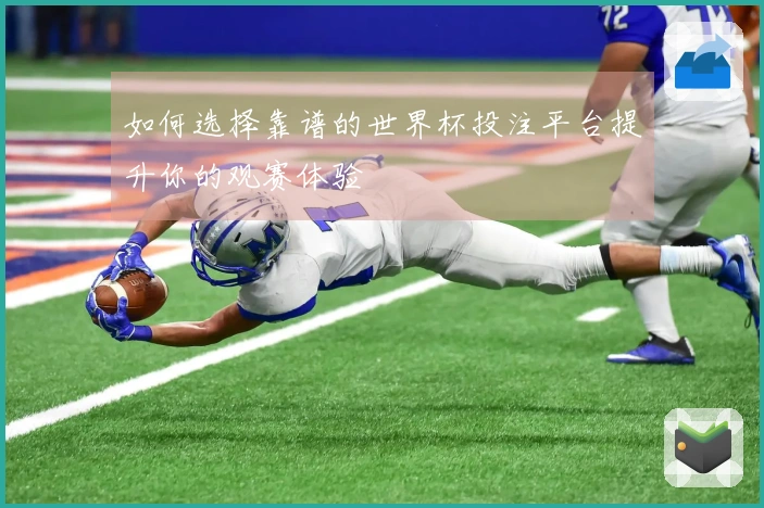 如何选择靠谱的世界杯投注平台提升你的观赛体验