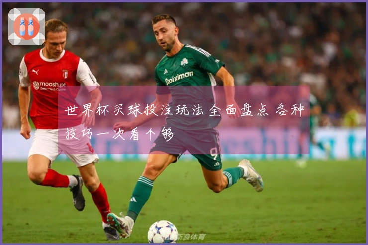 世界杯买球投注玩法全面盘点 各种技巧一次看个够