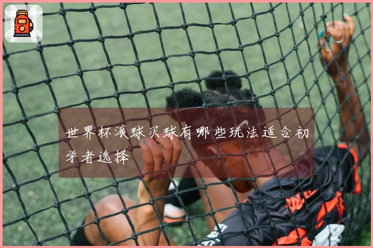 世界杯滚球买球有哪些玩法适合初学者选择