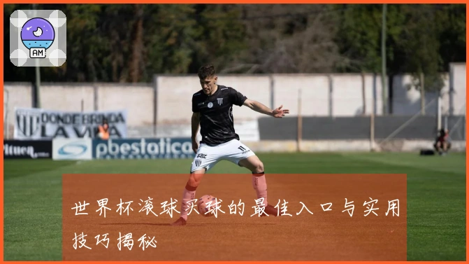 世界杯滚球买球的最佳入口与实用技巧揭秘