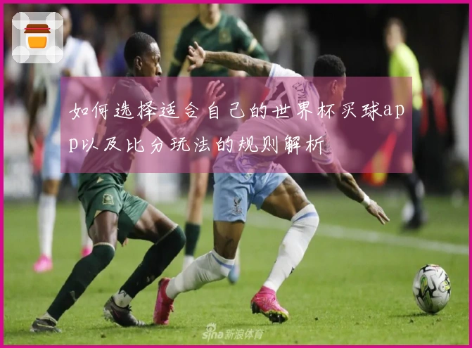 如何选择适合自己的世界杯买球app以及比分玩法的规则解析