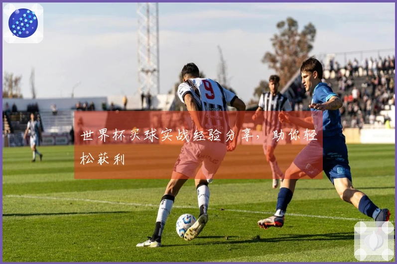 世界杯买球实战经验分享，助你轻松获利