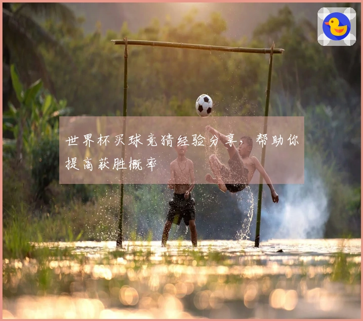 世界杯买球竞猜经验分享,帮助你提高获胜概率