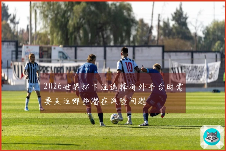 2026世界杯下注选择海外平台时需要关注哪些潜在风险问题