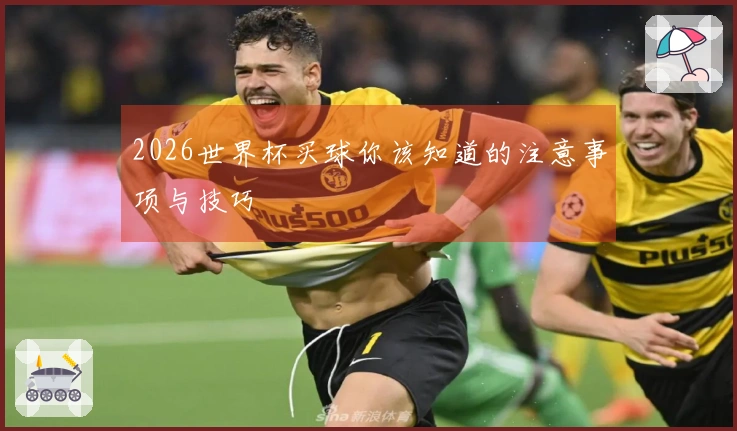 2026世界杯买球你该知道的注意事项与技巧
