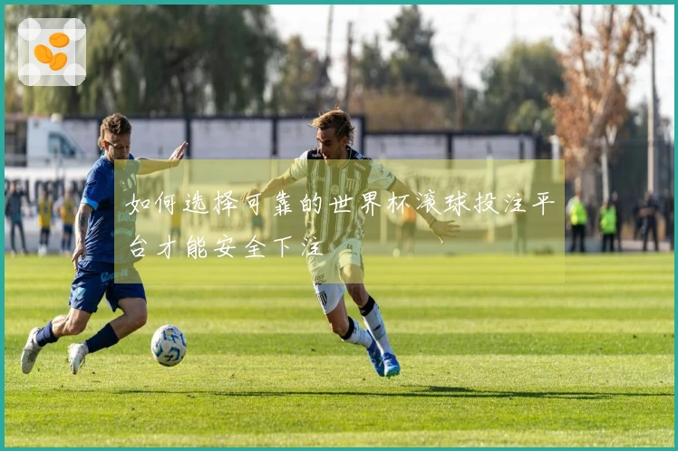 如何选择可靠的世界杯滚球投注平台才能安全下注