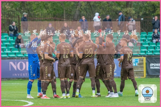 世界杯让球买球有哪些技巧可以提升胜算？