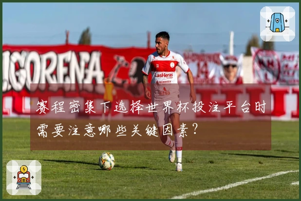 赛程密集下选择世界杯投注平台时需要注意哪些关键因素？