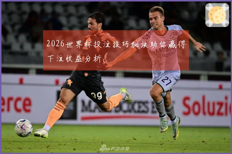 2026世界杯投注技巧秘诀助你赢得下注收益分析
