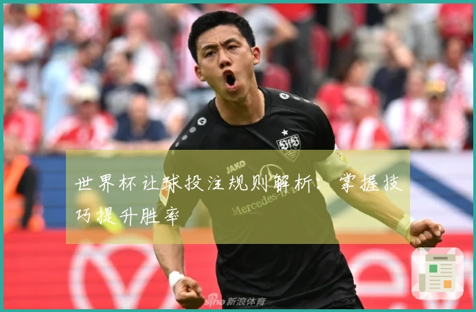 世界杯让球投注规则解析：掌握技巧提升胜率