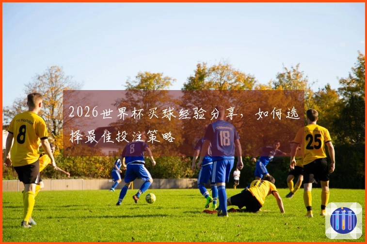 2026世界杯买球经验分享,如何选择最佳投注策略