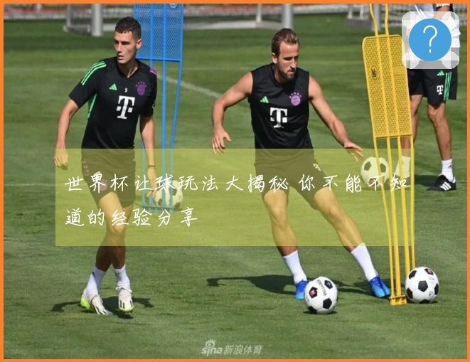 世界杯让球玩法大揭秘 你不能不知道的经验分享