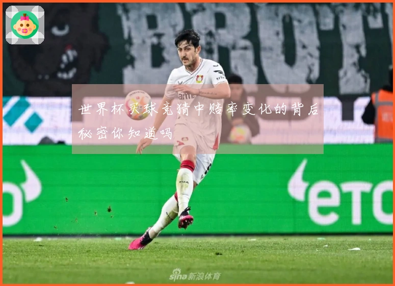 世界杯买球竞猜中赔率变化的背后秘密你知道吗