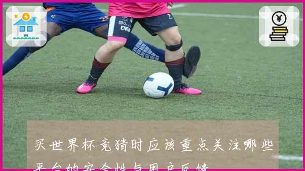 买世界杯竞猜时应该重点关注哪些平台的安全性与用户反馈