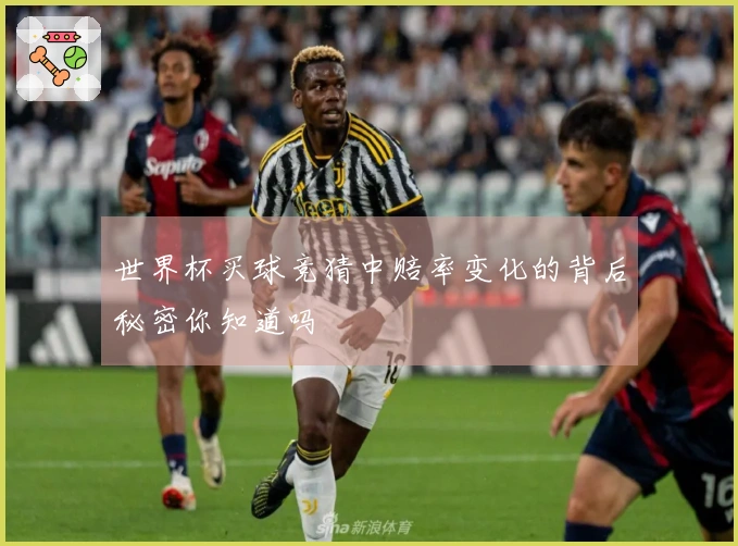 世界杯买球竞猜中赔率变化的背后秘密你知道吗