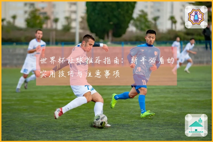世界杯让球推荐指南：新手必看的实用技巧与注意事项