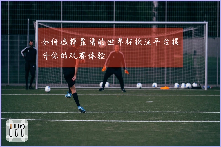 如何选择靠谱的世界杯投注平台提升你的观赛体验