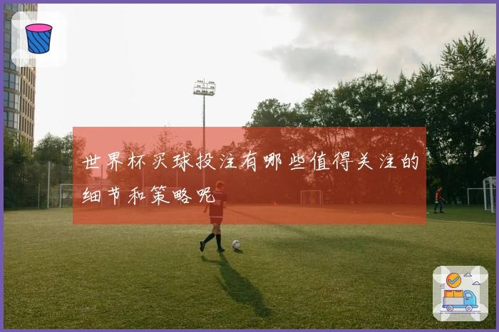 世界杯买球投注有哪些值得关注的细节和策略呢