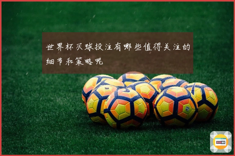 世界杯买球投注有哪些值得关注的细节和策略呢