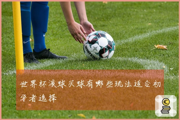 世界杯滚球买球有哪些玩法适合初学者选择