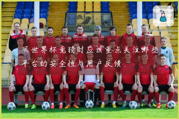 买世界杯竞猜时应该重点关注哪些平台的安全性与用户反馈