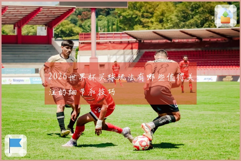 2026世界杯买球玩法有哪些值得关注的细节和技巧