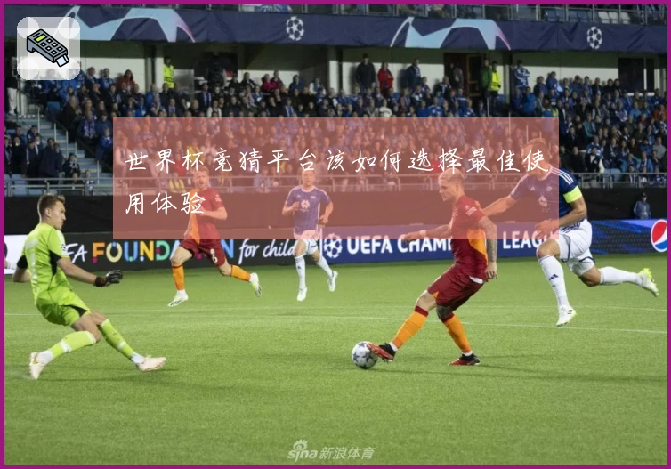 世界杯竞猜平台该如何选择最佳使用体验