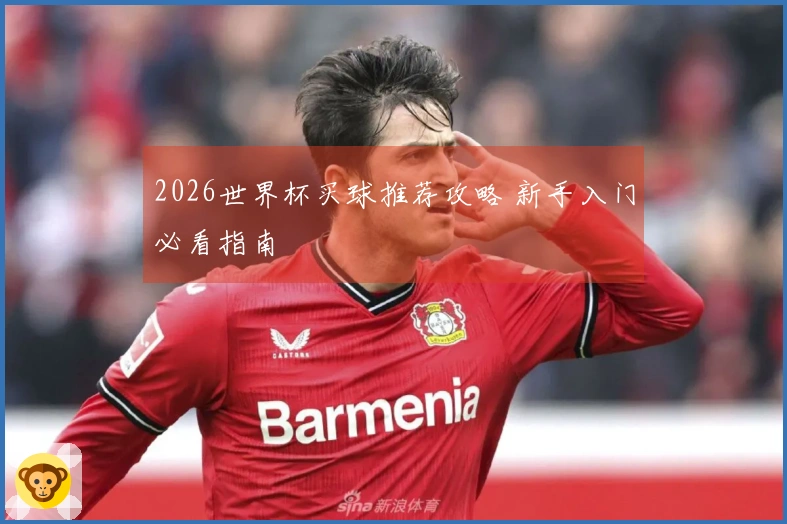 2026世界杯买球推荐攻略 新手入门必看指南