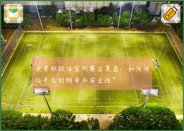 世界杯投注官网赛后复盘，如何评估平台的赔率和安全性？
