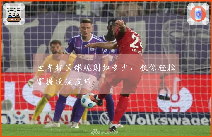 世界杯买球规则知多少，教你轻松掌握投注技巧